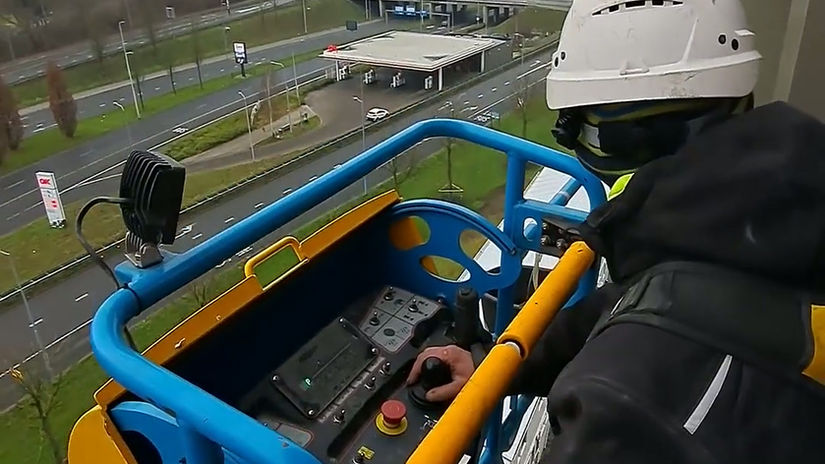 brain park with Damian